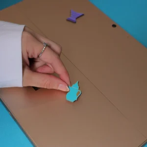 استكرات اليوم الوطني